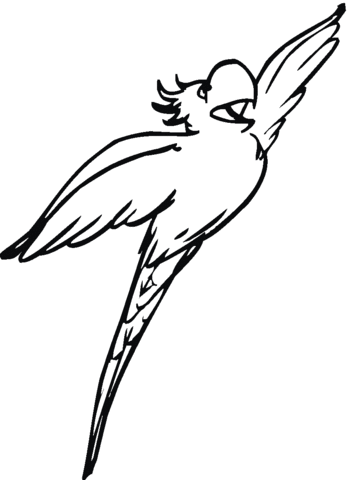 Flying Cockatoo Coloring Page